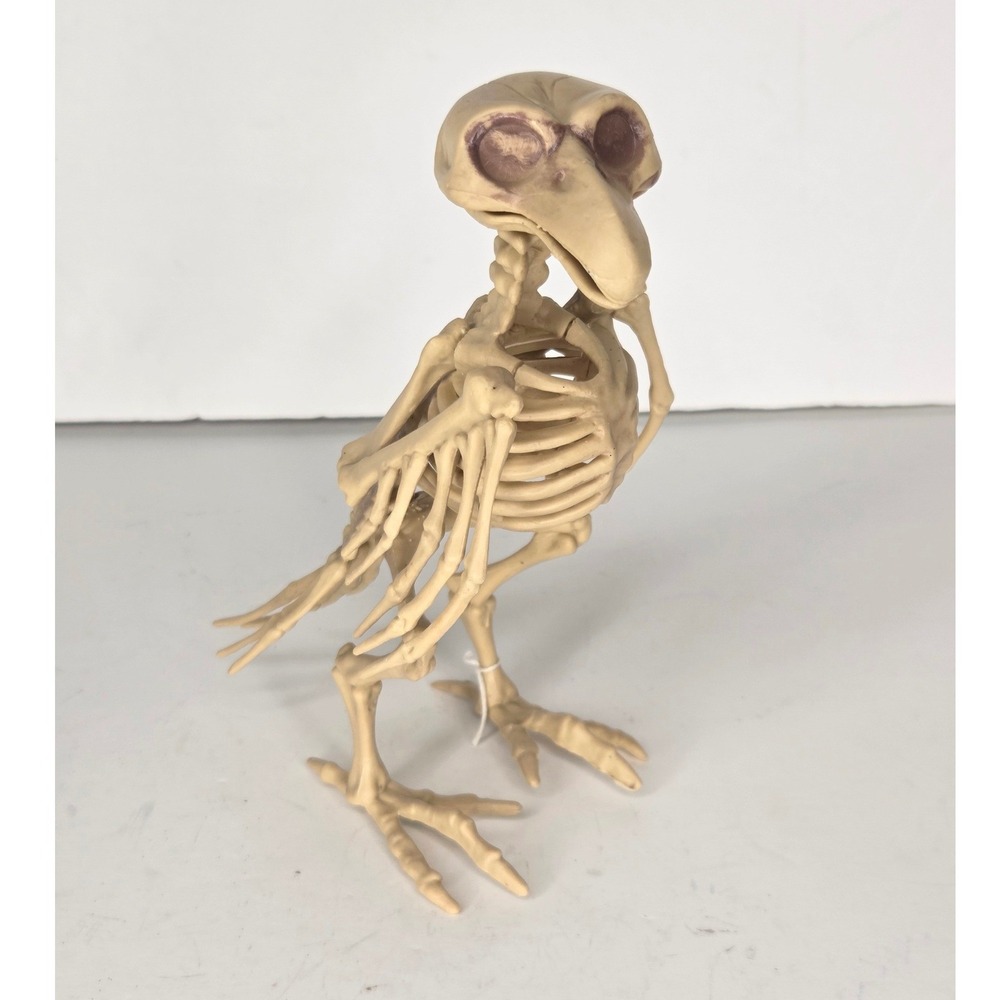 Halloween Bird Skeleton Prop 8 Inch Plastic Crow Raven Bone Decor